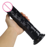 Realistic Jelly Dildo with Suction Cup