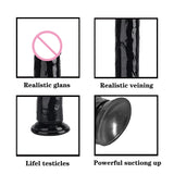 Realistic Jelly Dildo with Suction Cup