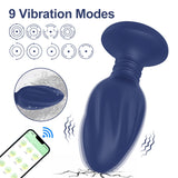 Remote Control Anal Plug Vibrator